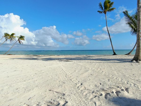 Les meilleures activités et visites à ne pas manquer à la flèche