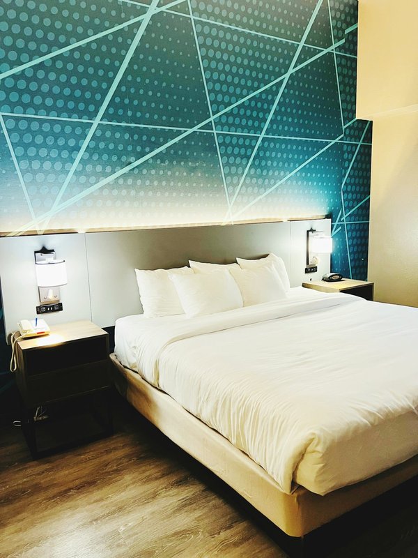 Réserver un hôtel à Viviers-du-Lac : choisissez un endroit qui accepte les animaux