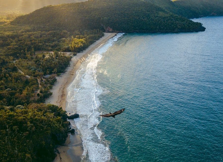 La République Dominicaine : Sites inoubliables et expériences immanquables pour un voyage mémorable