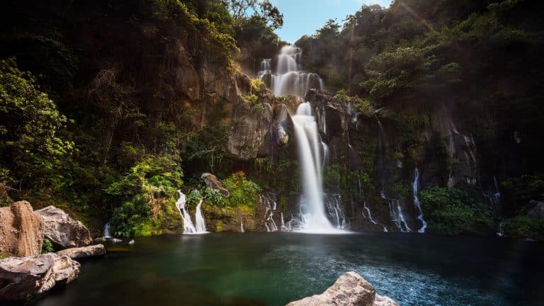 waterfalls in the middle of the forest during daytime